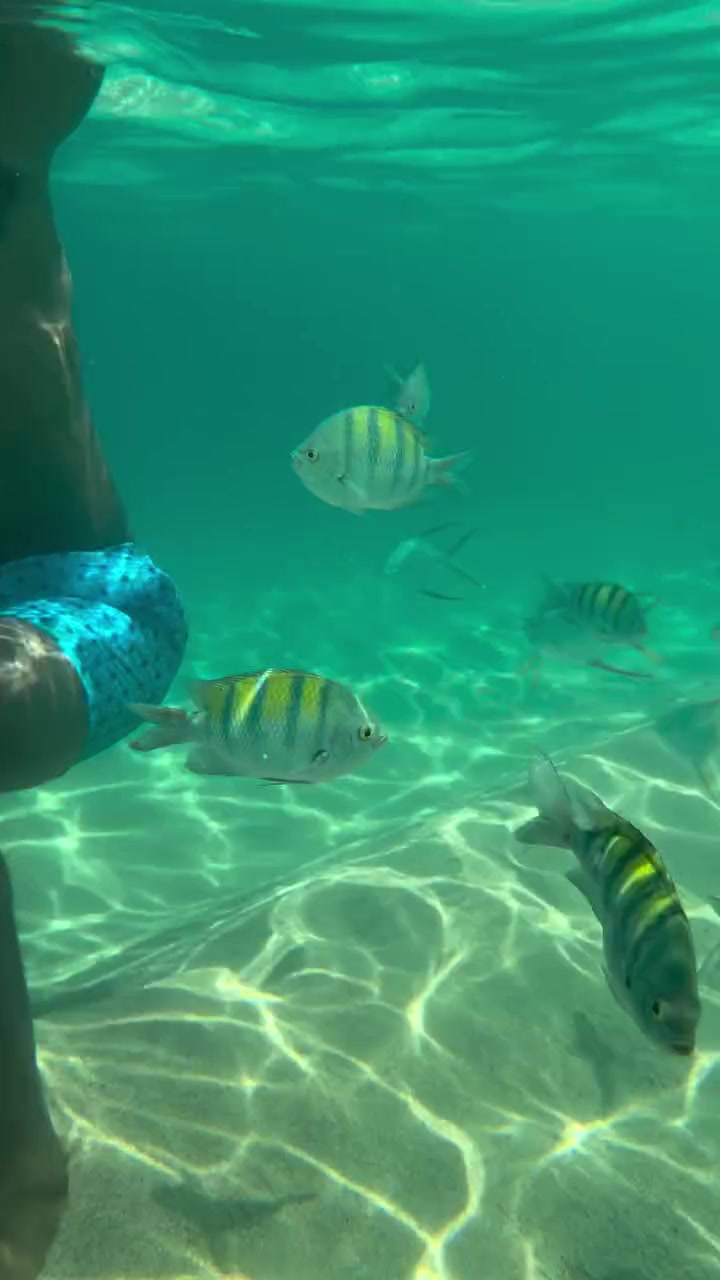 休賽期不釣魚了喬治曬自己浮潛視頻與魚共舞