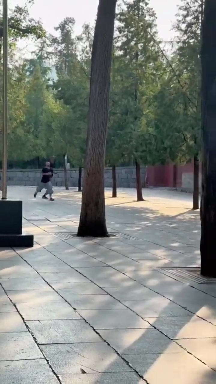 修行第五天了文班這第一高僧跑起來一步頂別人兩步吧