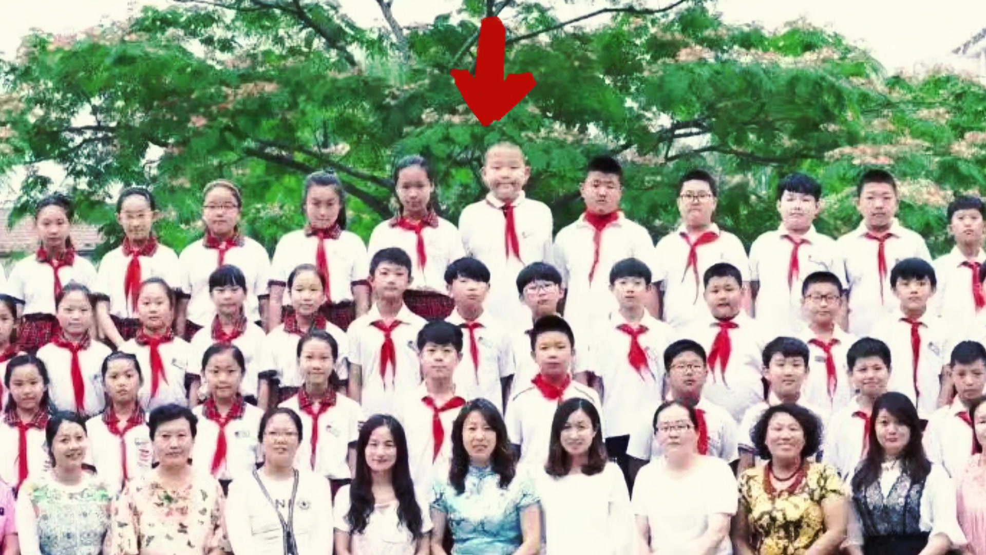 楊瀚森小學(xué)畢業(yè)照被網(wǎng)友翻出 全班最高C位當(dāng)仁不讓