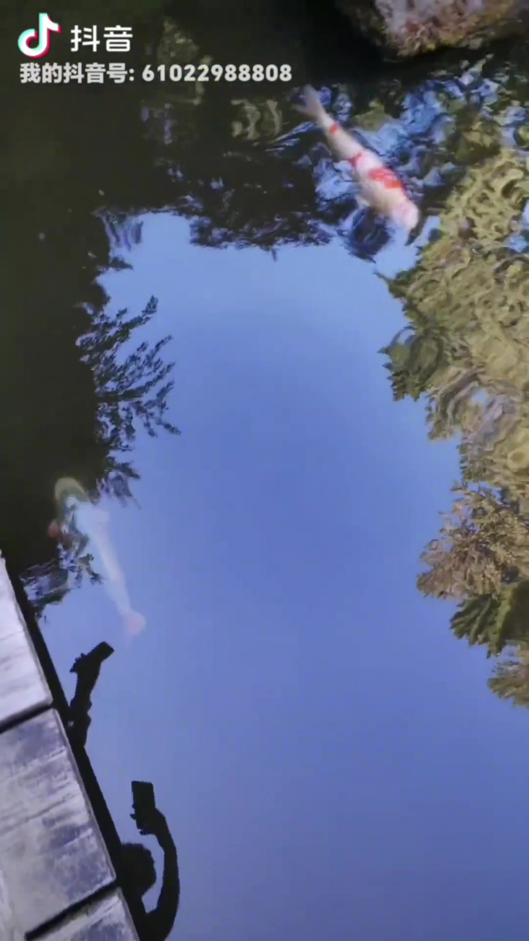 楊瀚森媽媽回應(yīng)球迷我照相從來不笑就這習(xí)慣