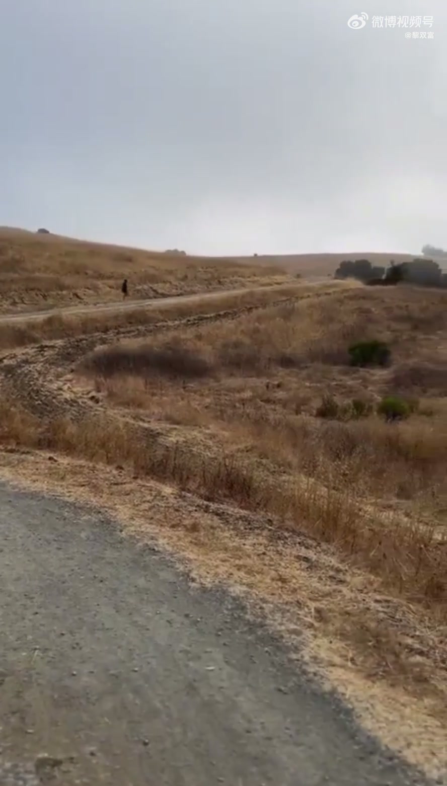 連庫(kù)里都選擇去戶外進(jìn)行輕越野訓(xùn)練 吧友們你們還不趕緊跑起來