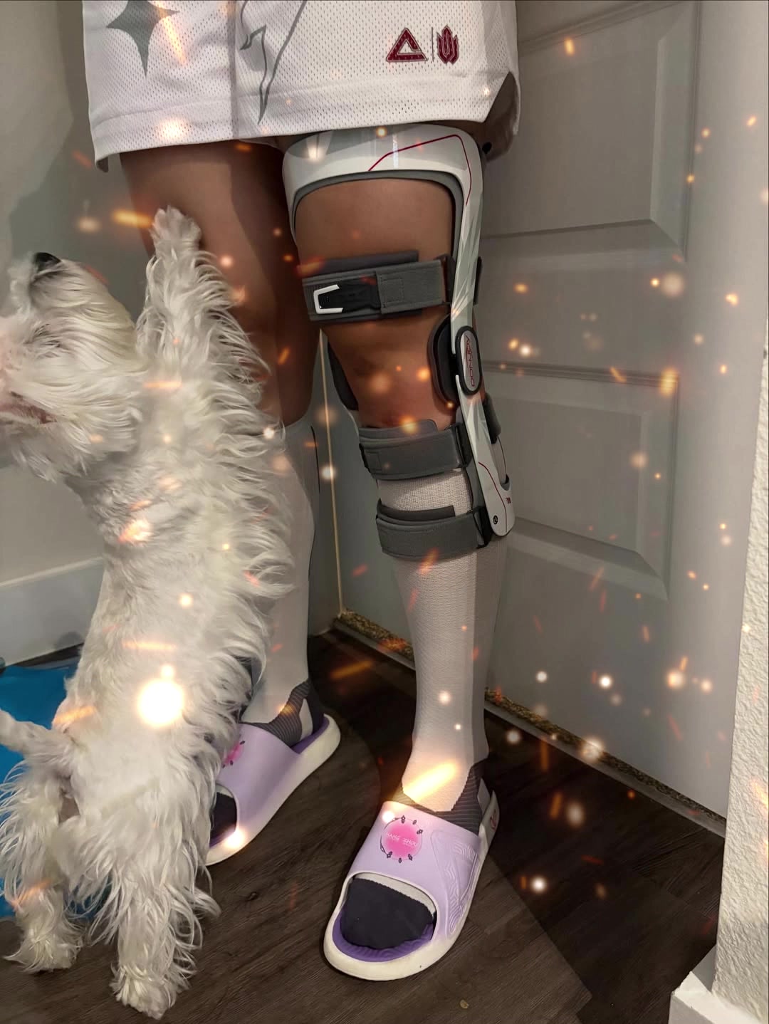 小寶裙子和護(hù)具很搭惦記著牌局的佩奇評論被閨蜜背叛了