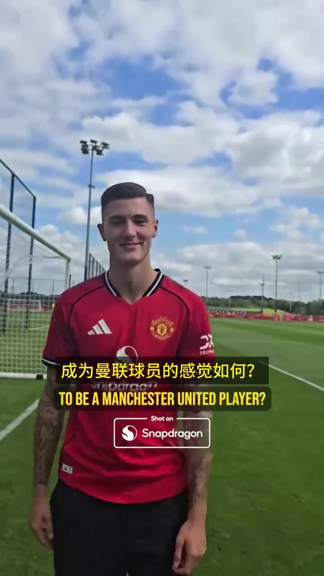 你的足球偶像是塞斯科伊布純粹的偉大