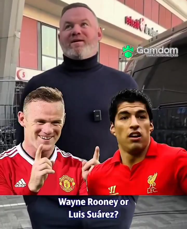 魯尼我蘇牙萊萬內(nèi)馬爾凱恩阿奎羅和伊布