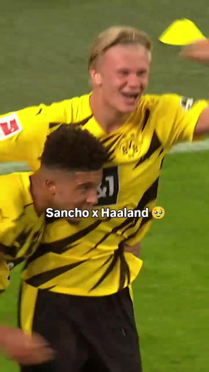 那時你們都有光明的未來桑喬和哈蘭德的多特時期碎片