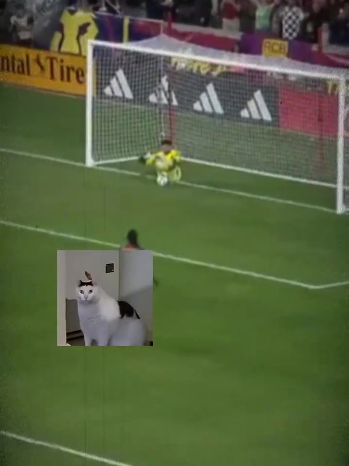 吉星高照洛里我不擅長撲點除非球自己到我手上