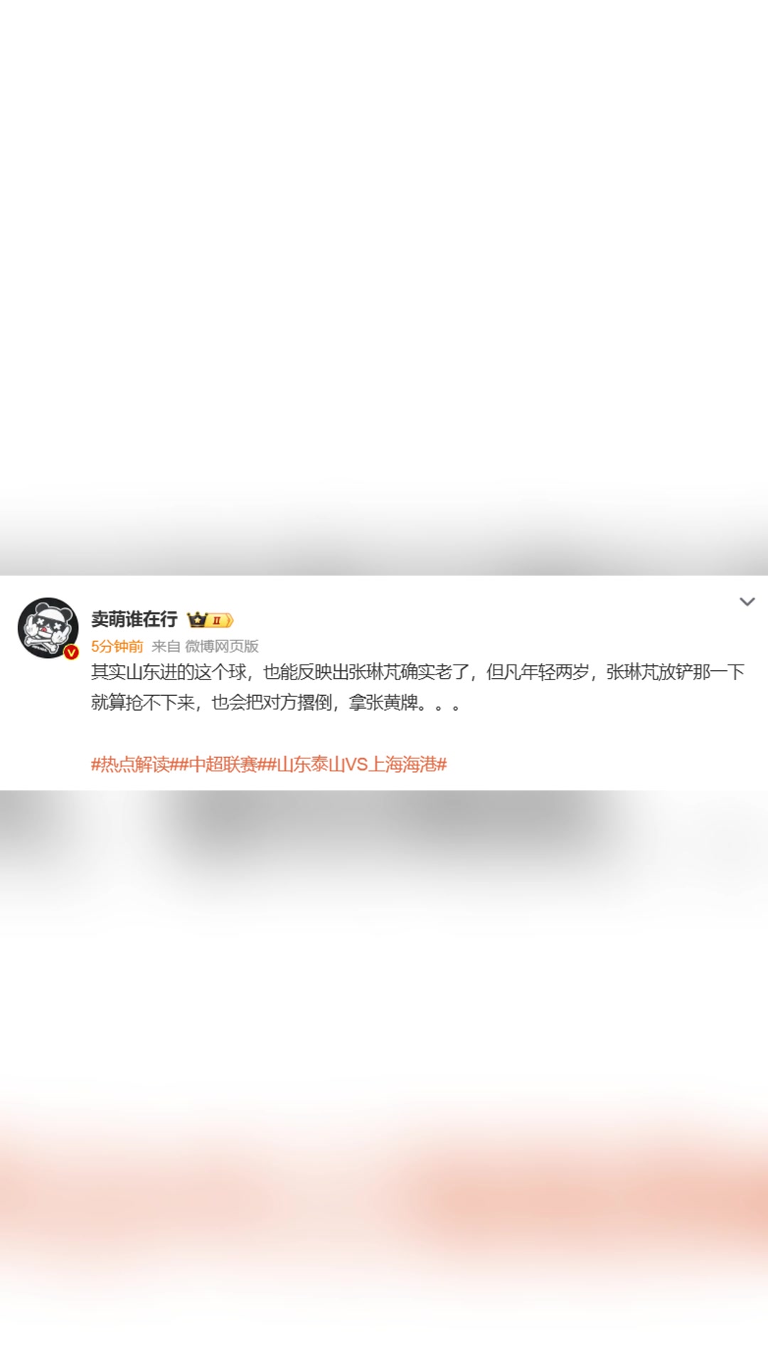 博主張琳芃確實老了但凡年輕兩歲也會把對方撂倒