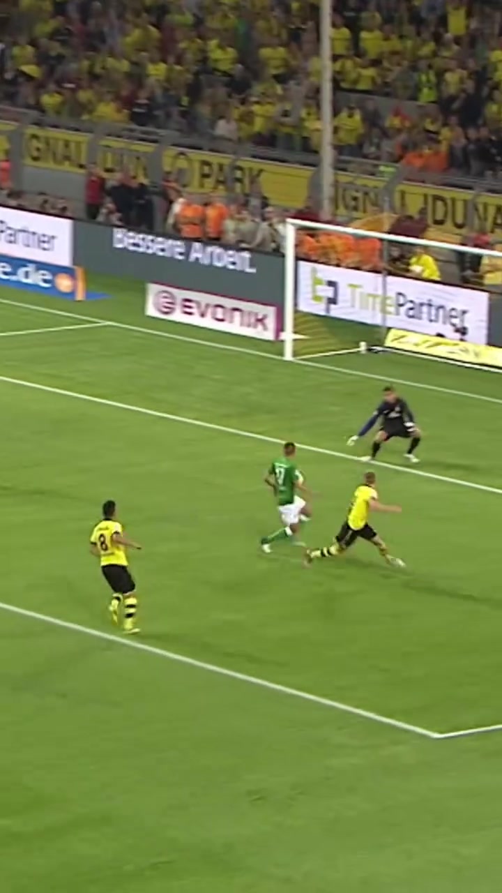 現在是羅伊斯時間黃黑軍團永遠的船長