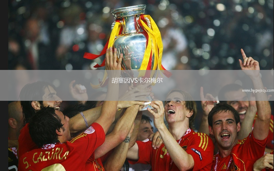 胡塞因VS卡爾梅爾