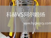 科赫VS阿爾賴揚