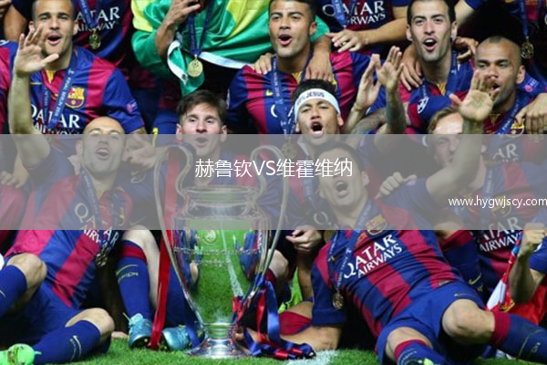 赫魯欽VS維霍維納