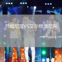 開姆尼茨VS艾爾格里尼克