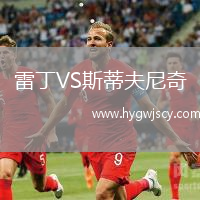 雷丁VS斯蒂夫尼奇