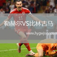 勒赫爾VS比林古馬