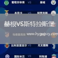 赫根VS斯特拉斯堡