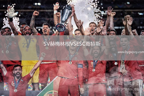 SV赫梅林根VSESC葛特斯 SV赫梅林根VSESC葛特斯