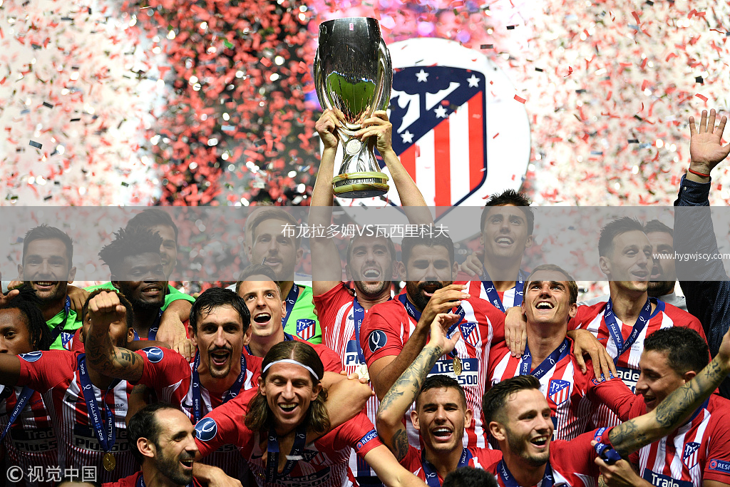 布龍拉多姆VS瓦西里科夫