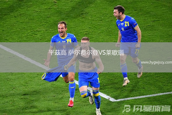 平茲高 薩爾費(fèi)爾登VS萊歇瑙 平茲高 薩爾費(fèi)爾登VS萊歇瑙