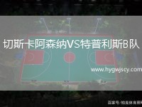 切斯卡阿森納VS特普利斯B隊