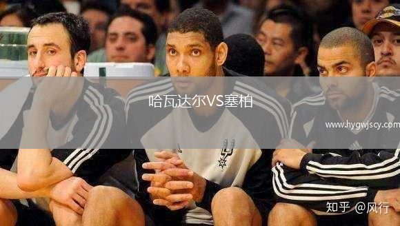 哈瓦達爾VS塞柏