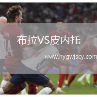 布拉VS皮內(nèi)托