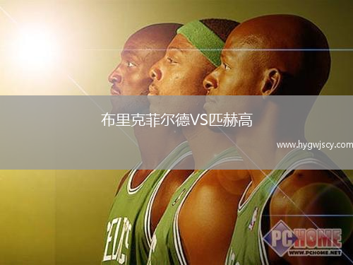 布里克菲爾德VS匹赫高