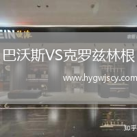 巴沃斯VS克羅茲林根