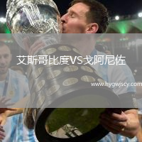 艾斯哥比度VS戈阿尼佐