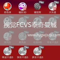 視覺(jué)FCVS泰奇曼城