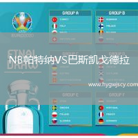 NB帕特納VS巴斯凱戈德拉