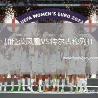 加拉茨鳳凰VS特爾古穆列什