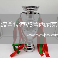 波普拉德VS魯西尼克