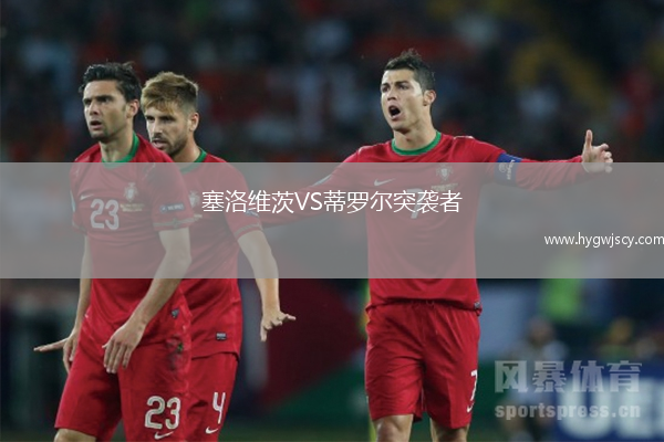 塞洛維茨VS蒂羅爾突襲者