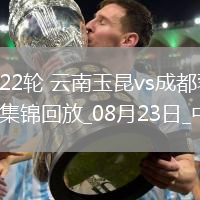中超第22輪云南玉昆vs成都蓉城進球視頻