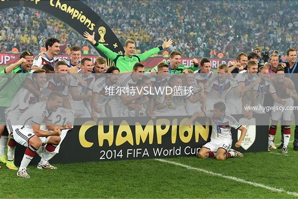 維爾特VSLWD籃球