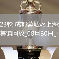 中超第23輪成都蓉城vs上海海港進球視頻