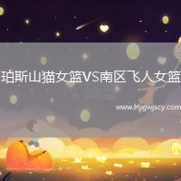 珀斯山貓女籃VS南區(qū)飛人女籃