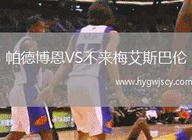 帕德博恩VS不來梅艾斯巴倫