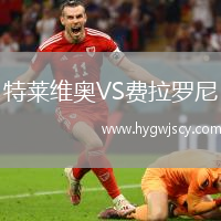 特萊維奧VS費(fèi)拉羅尼