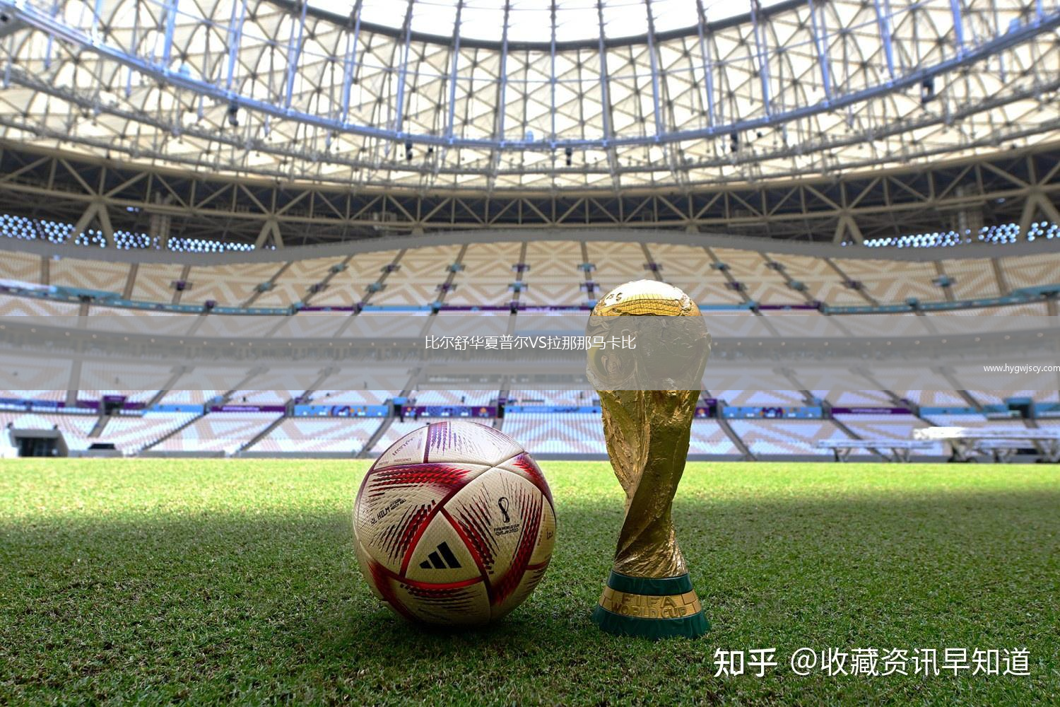 比爾舒華夏普爾VS拉那那馬卡比