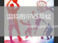 溫特圖爾VS草蜢