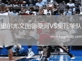 里爾尤文圖德桑河VS奧瓦萊隊(duì)