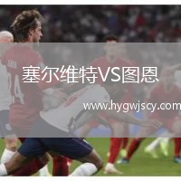 塞爾維特VS圖恩