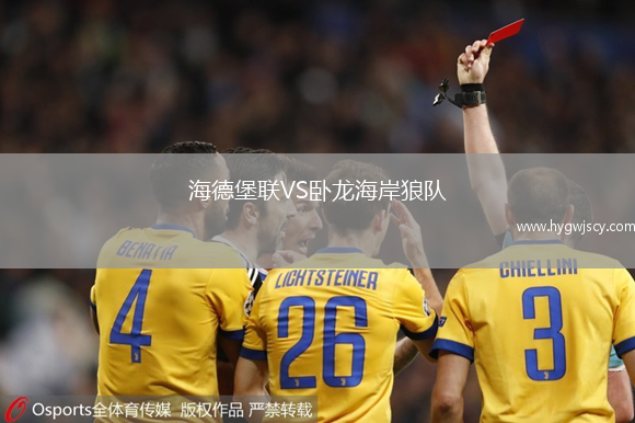 海德堡聯(lián)VS臥龍海岸狼隊(duì)