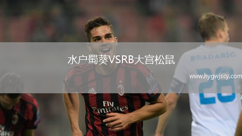 水戶蜀葵VSRB大宮松鼠