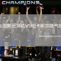 布里斯班獅吼VS紐卡斯爾噴氣機