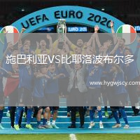 施巴利亞VS比耶洛波布爾多
