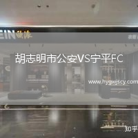 胡志明市公安VS寧平FC