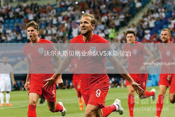 沃爾夫斯貝格業(yè)余隊(duì)VS禾斯貝治 沃爾夫斯貝格業(yè)余隊(duì)VS禾斯貝治