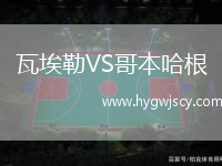 瓦埃勒VS哥本哈根